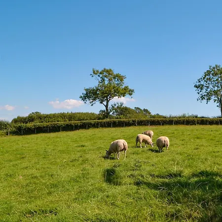 Fieldside * Tallentire